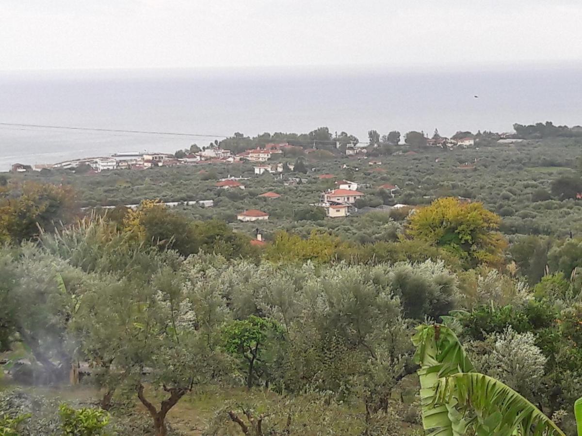 Longá Estella Sorelle 1 מראה חיצוני תמונה